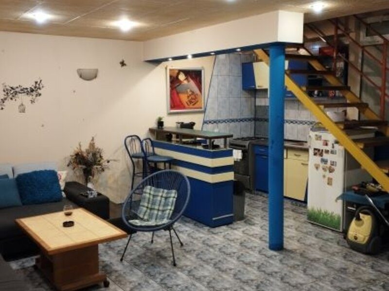 Imobil doua corpuri P+2+pod si P+1 | zona Splaiul Unirii | - foto 9