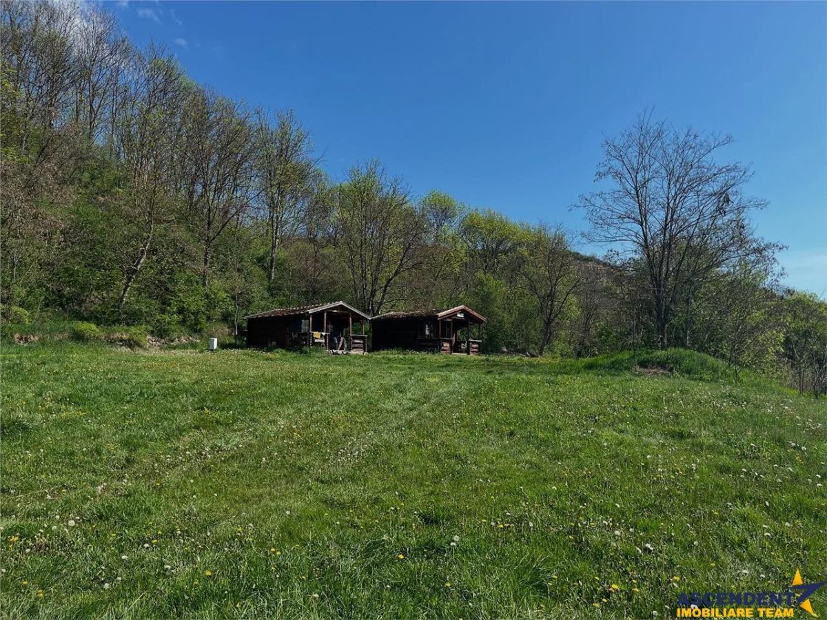 Transilvania Camping, domeniu de 14.400mp,Sanmarghita de Mures:2cladiri, apartamente,potential exceptional - foto 20