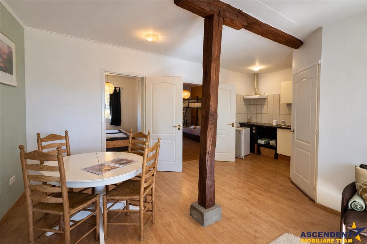 Transilvania Camping, domeniu de 14.400mp,Sanmarghita de Mures:2cladiri, apartamente,potential exceptional - foto 14