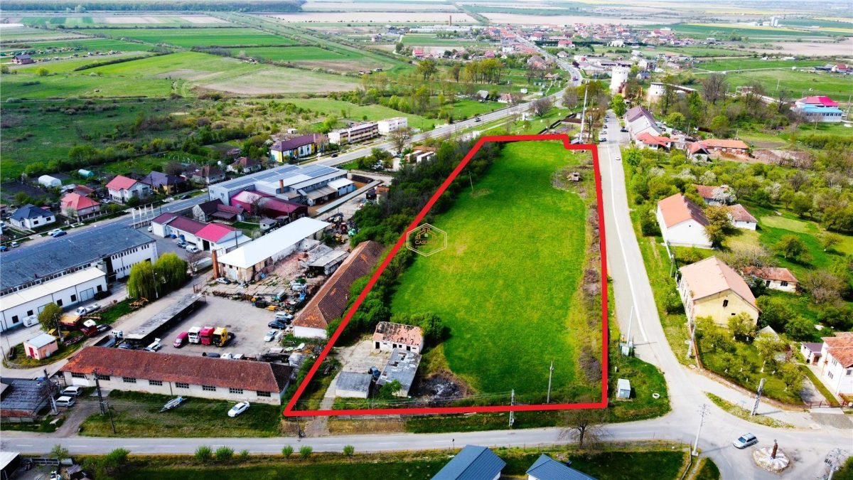 Teren 12.180 mÂ² langa Cetatea Medievala Ardud | Hotel / Investitie turistica - foto 4