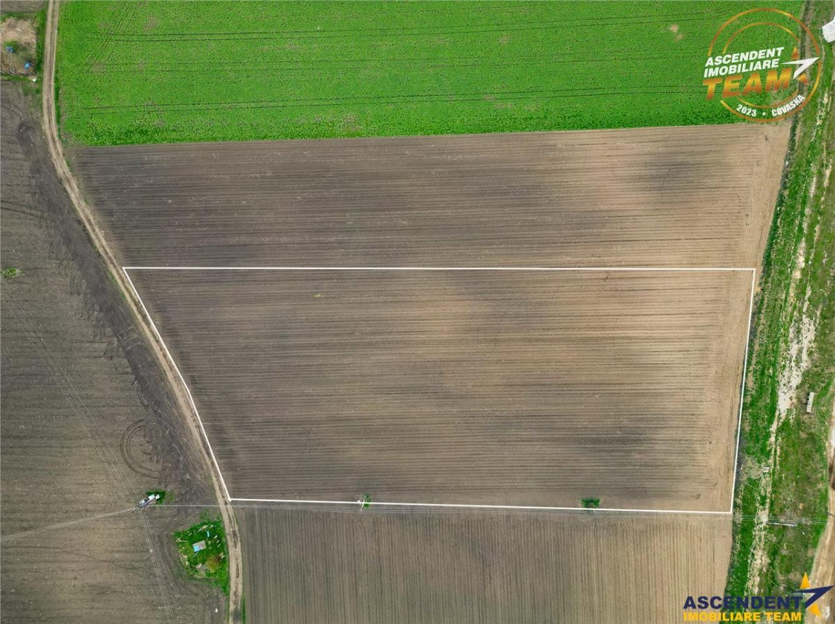 FILM! Teren intravilan cu potential ridicat - zona Sepsi Arena, Arcus, Covasna - foto 3