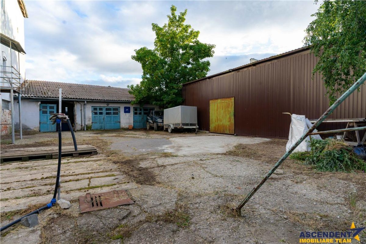 FILM! Rezidential/ comercial/ productie, Central, Targu-Secuiesc - foto 9