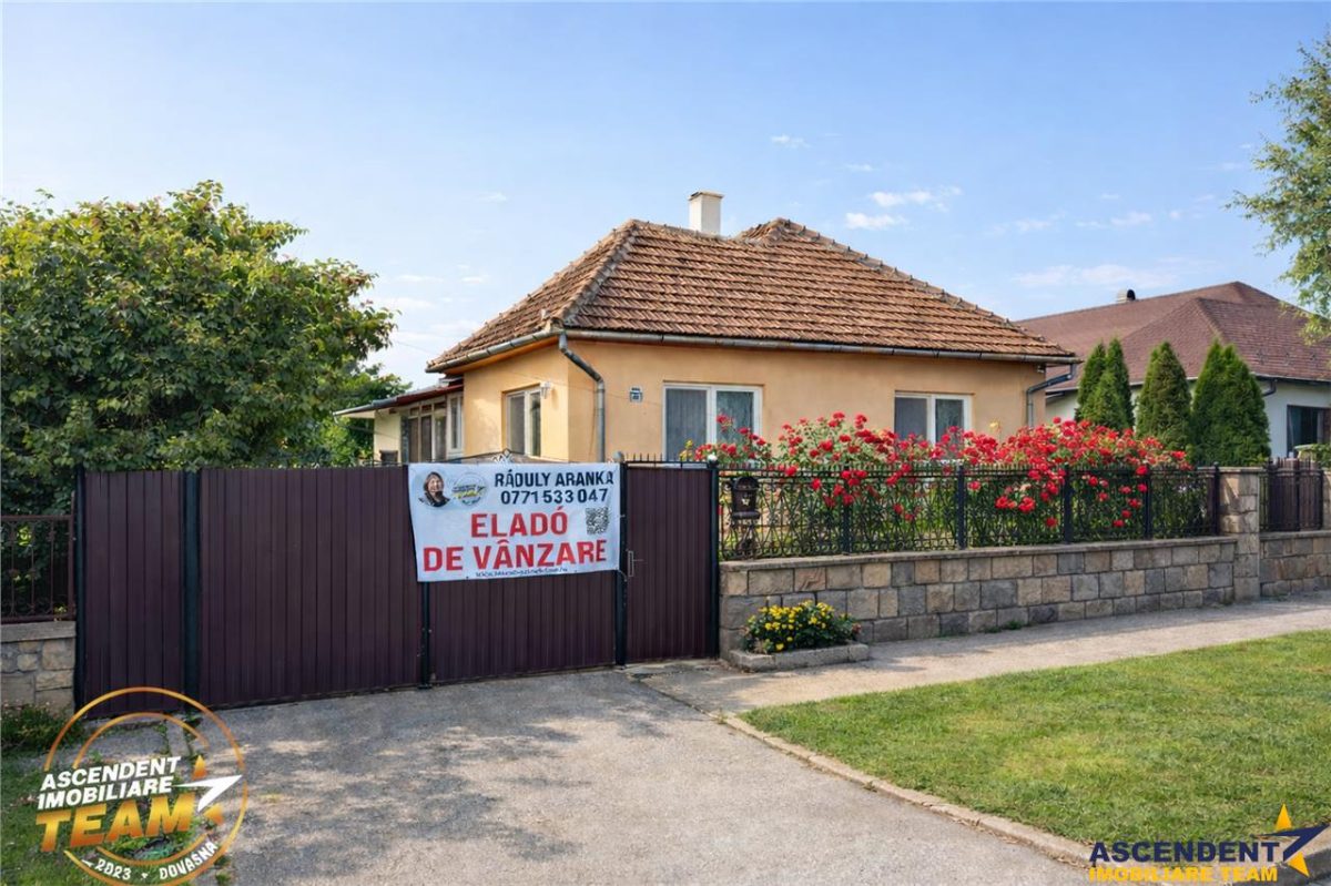 FILM&3D! Casa ospitaliera,curte si gradina asortata,arie linistita,Simeria,Sfantu Gheorghe - 