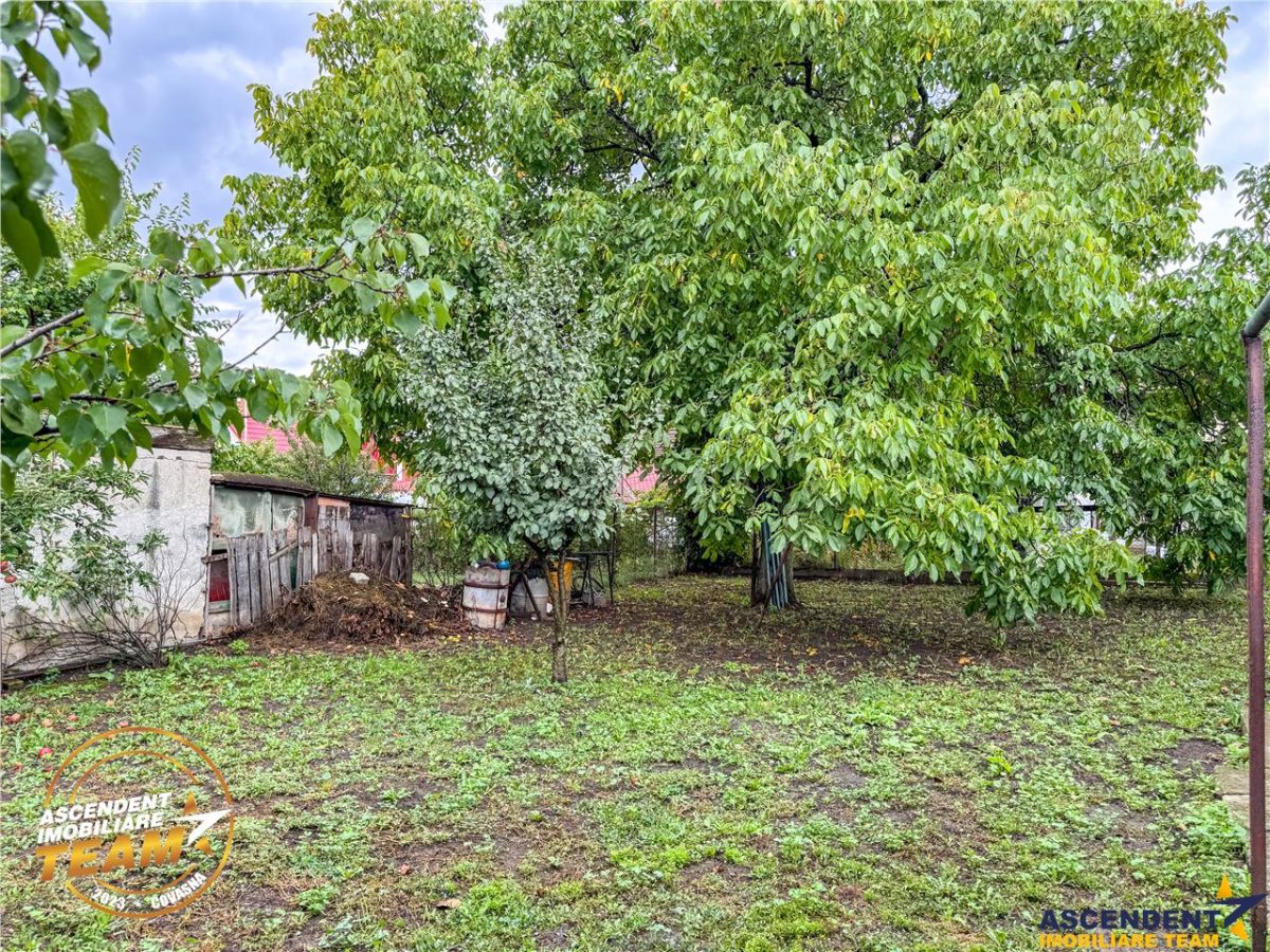 FILM&3D! Casa ospitaliera,curte si gradina asortata,arie linistita,Simeria,Sfantu Gheorghe - foto 19