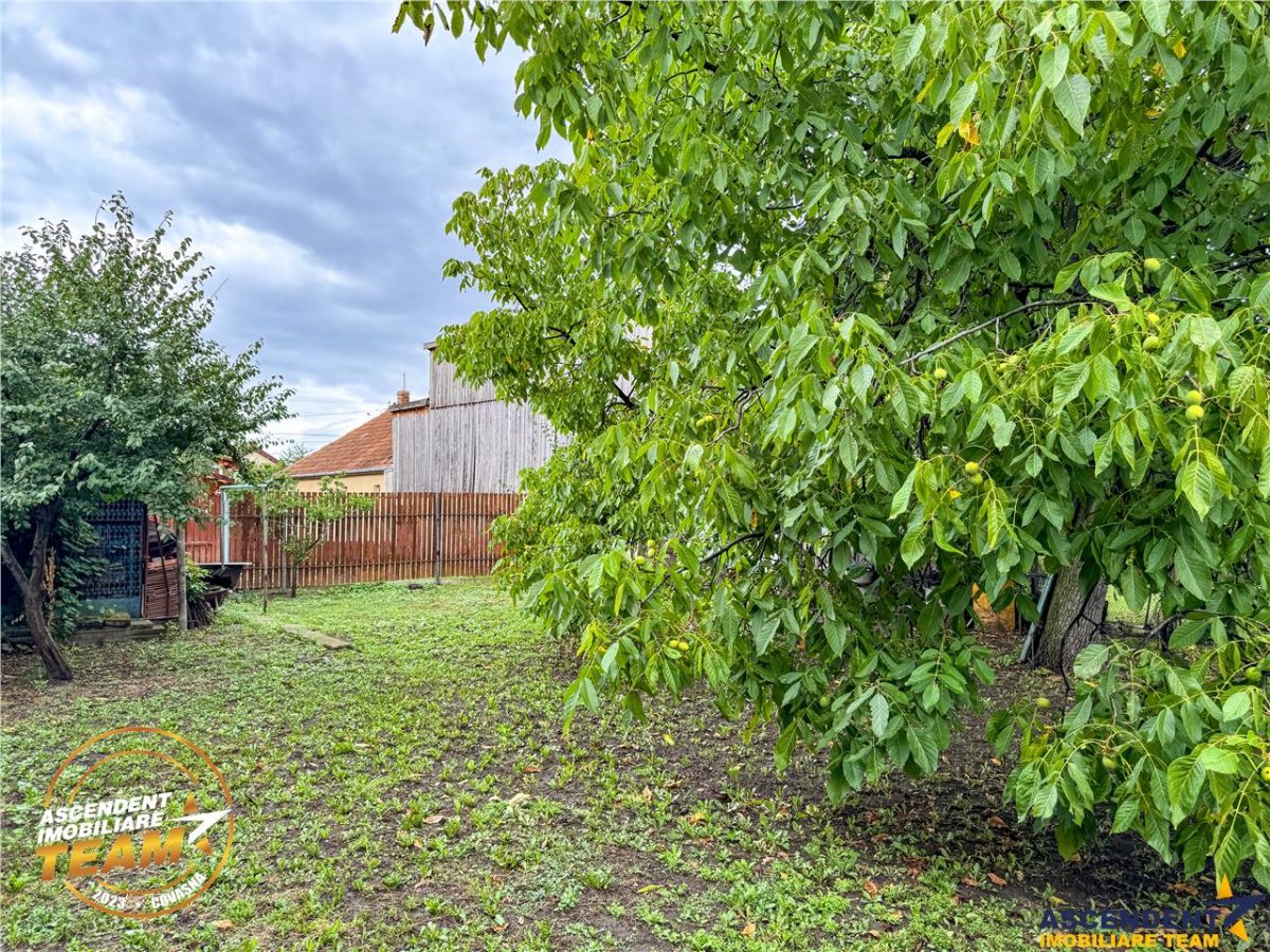 FILM&3D! Casa ospitaliera,curte si gradina asortata,arie linistita,Simeria,Sfantu Gheorghe - foto 6