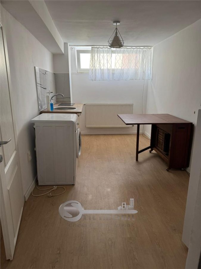 Apartament 1 camera COPOU - LICEU NEGRUZZI - foto 5