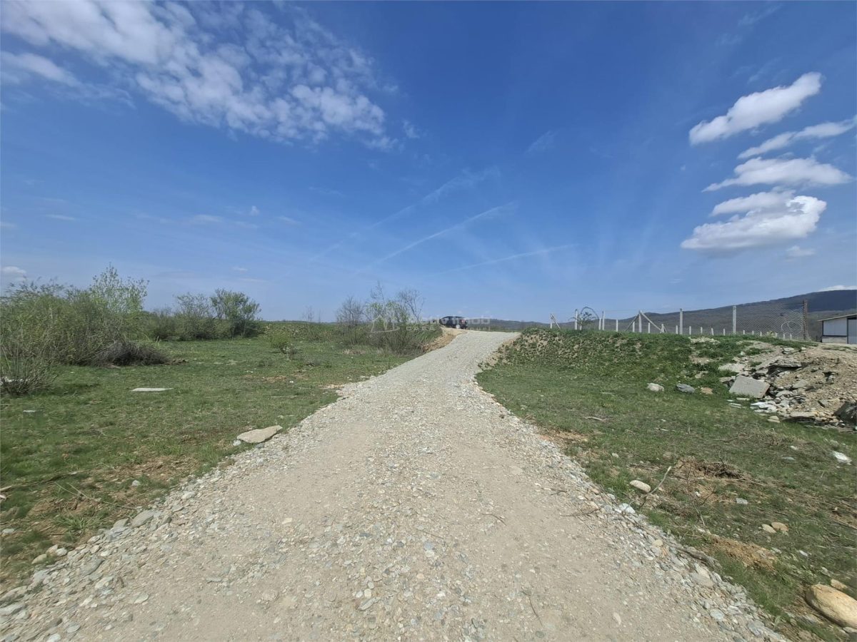 Teren extravilan de vanzare Talmaciu - 