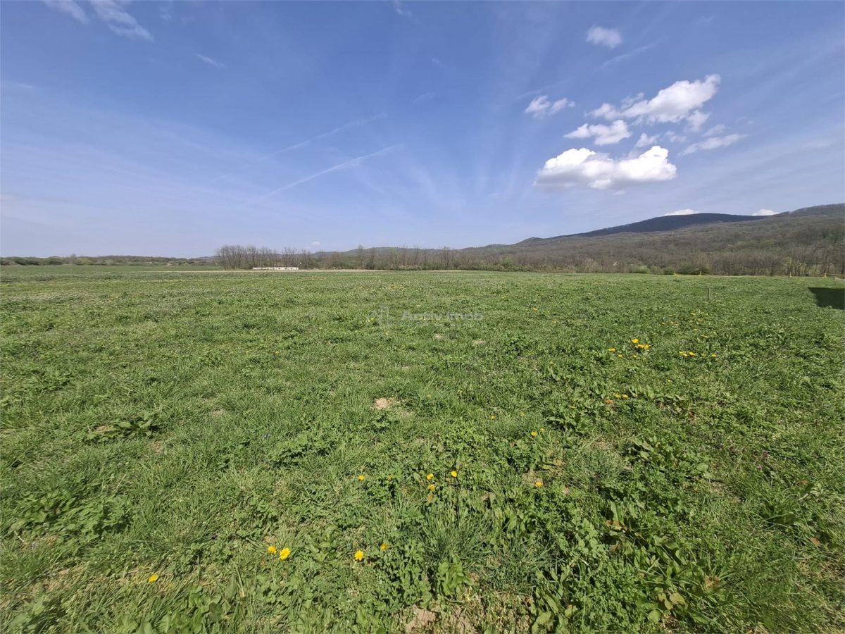 Teren extravilan de vanzare Talmaciu - foto 2