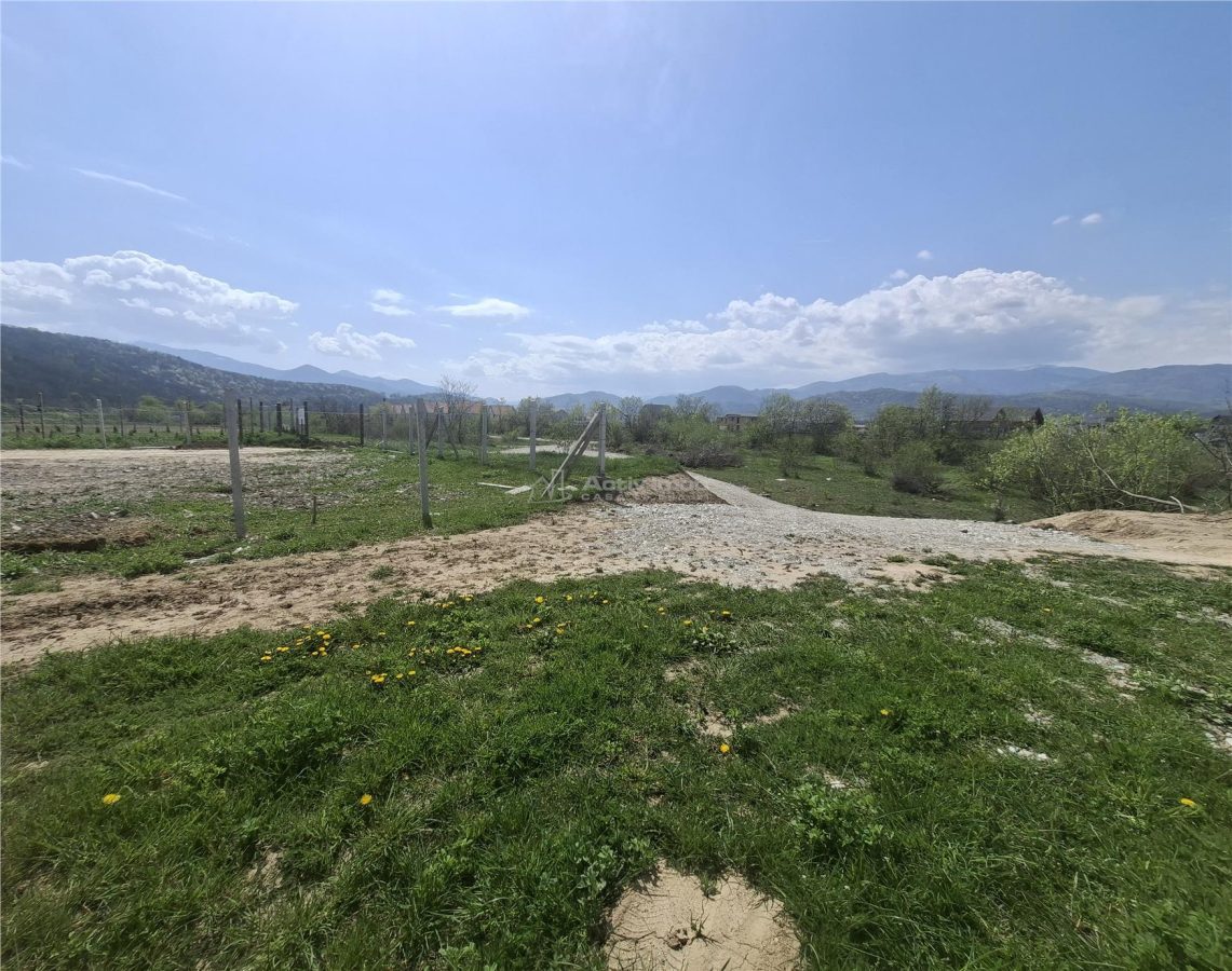 Teren extravilan de vanzare Talmaciu - foto 4