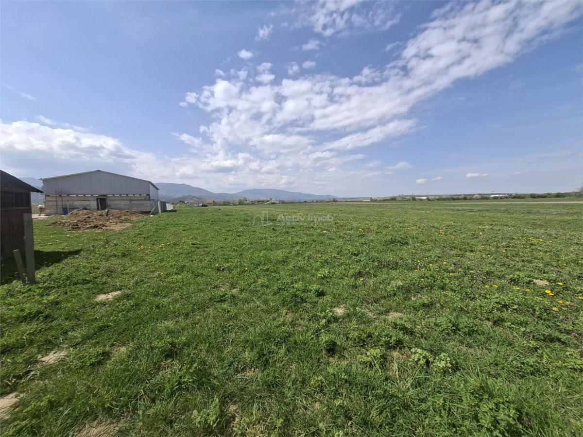 Teren extravilan de vanzare Talmaciu - foto 5