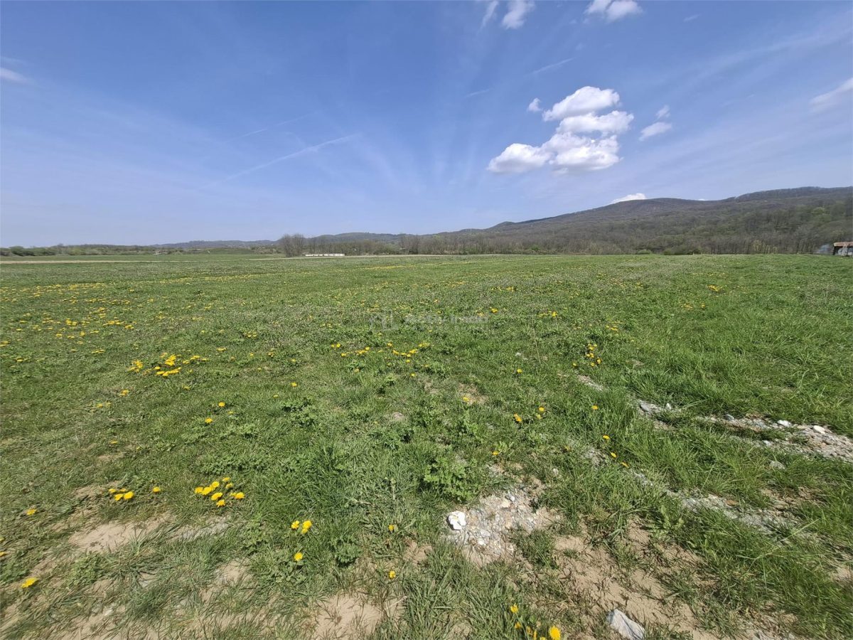 Teren extravilan de vanzare Talmaciu - foto 7