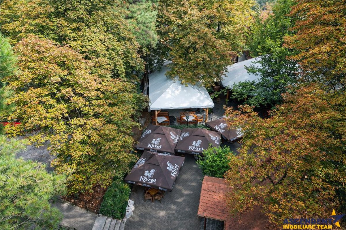 Complex Gastronomic:Afacere la cheie, Restaurant traditional secuiesc+teresa evenimente+carmangerie+ magazin+A - foto 18