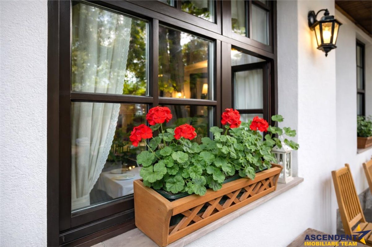 Complex Gastronomic:Afacere la cheie, Restaurant traditional secuiesc+teresa evenimente+carmangerie+ magazin+A - foto 20