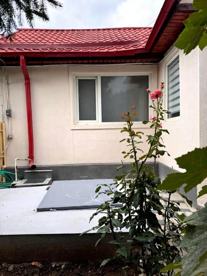 Casa Cocheta, 3 Camere, Curte Proprie, Timpuri Noi-Mihai Bravu, 7 min Metrou - foto 21
