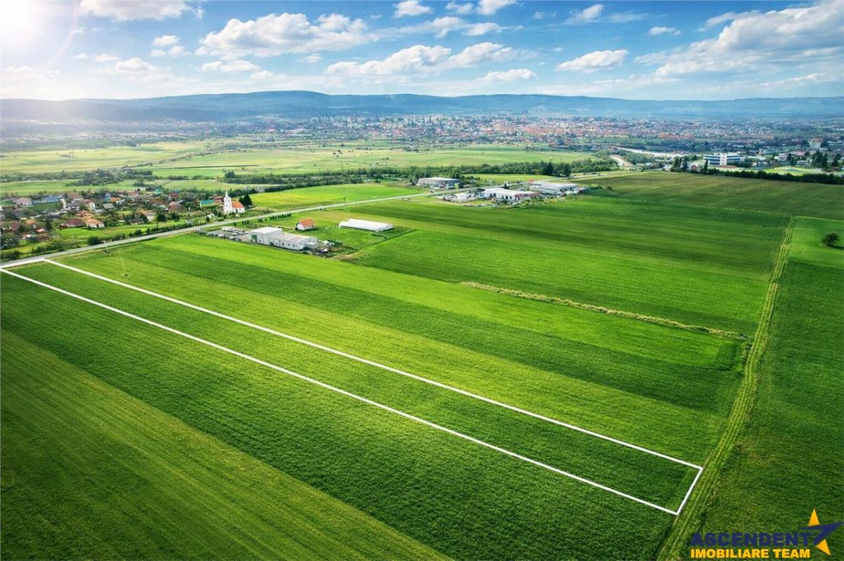 FILM! Teren intravilan 7.850 mp, Chilieni, Sfantu Gheorghe - 
