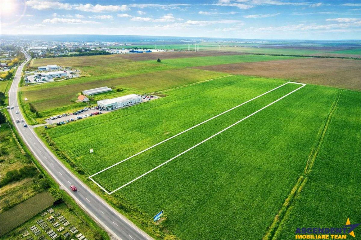 FILM! Teren intravilan 7.850 mp, Chilieni, Sfantu Gheorghe - foto 2
