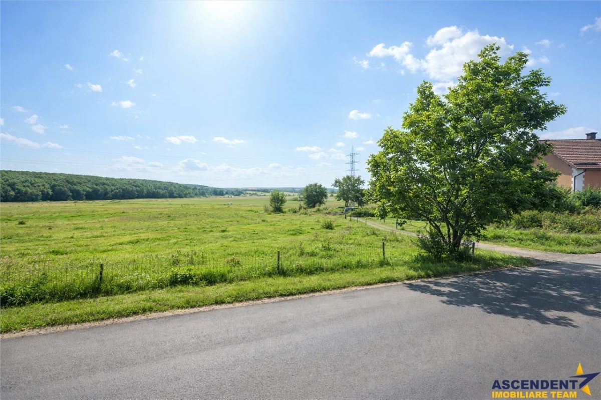 Teren intravilan, pe 5.800 mp, cu vedere frumoasa,in localitatea Reghin - foto 3