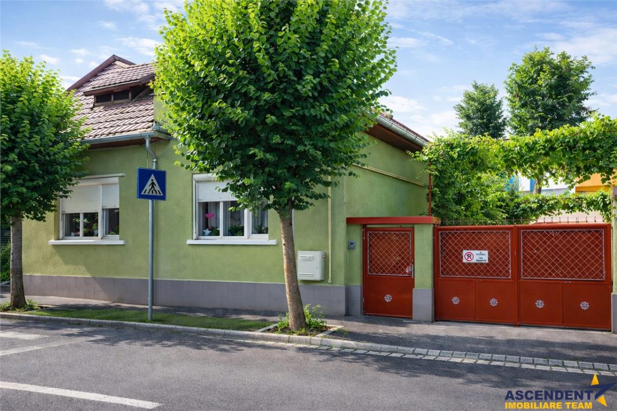 3D!Ansamblu casa+productie+comercial, 3 corpuri,acces stradal,Tudor,Targu Mures, potential ridicat - 