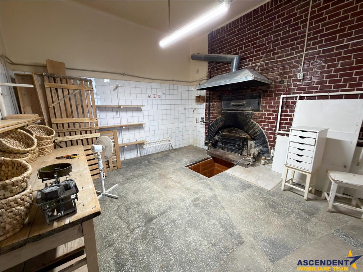 3D!Ansamblu casa+productie+comercial, 3 corpuri,acces stradal,Tudor,Targu Mures, potential ridicat - foto 19