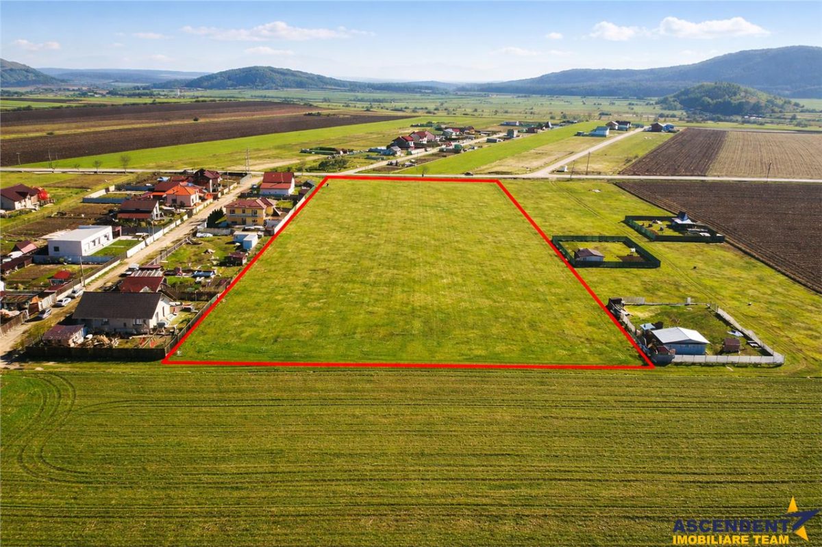 FILM! Domeniu urban, 18.200mp, cu planuri validate, Bod, Brasov. - 