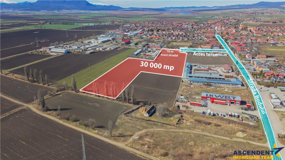 FILM! 30.000mp teren intravilan, Central, Halchiu, Brasov - 