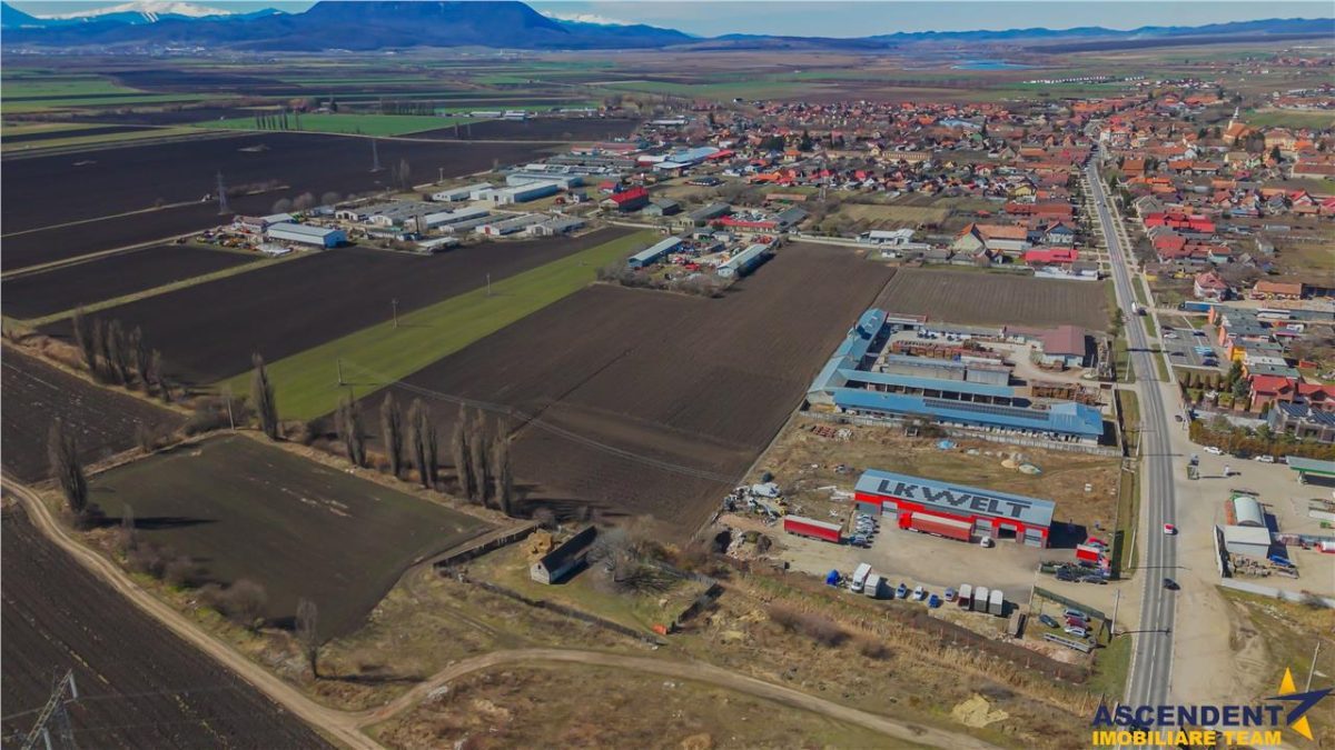 FILM! 30.000mp teren intravilan, Central, Halchiu, Brasov - foto 2