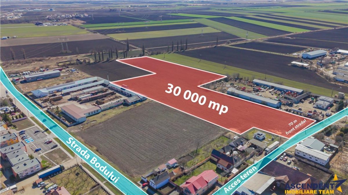 FILM! 30.000mp teren intravilan, Central, Halchiu, Brasov - foto 3