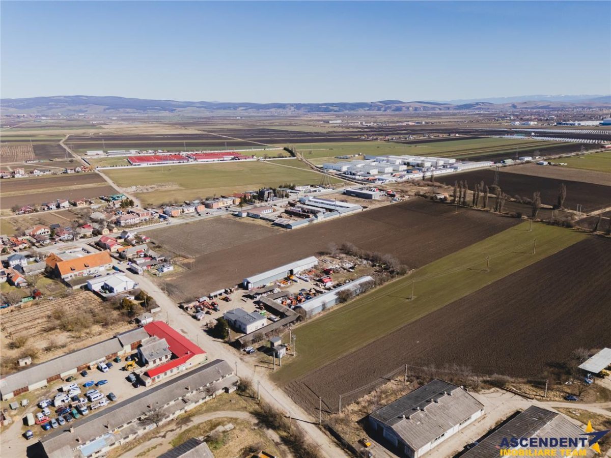 FILM! 30.000mp teren intravilan, Central, Halchiu, Brasov - foto 4