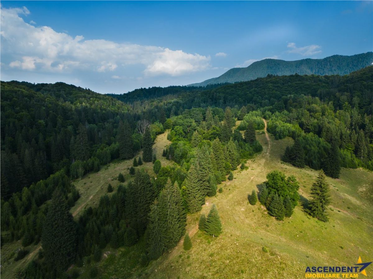 Film! Teren cu destinatie turistica si agrement, Poiana Brasov - Rasnov - foto 2