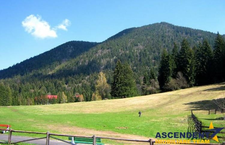 Film! Teren cu destinatie turistica si agrement, Poiana Brasov - Rasnov - foto 3