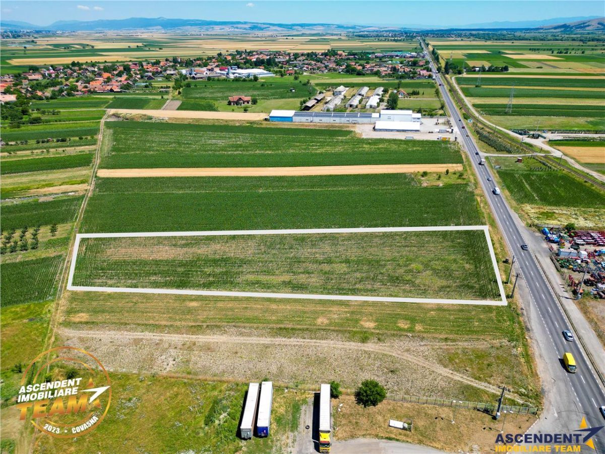 8.400mp, la DN12, cu Certificat Urbanism, teren intravilan, Chichis, Covasna. - 