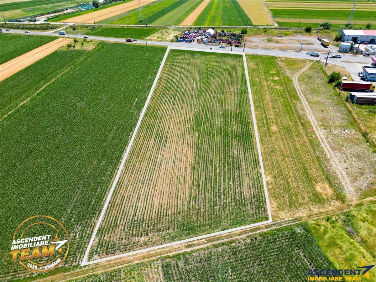 8.400mp, la DN12, cu Certificat Urbanism, teren intravilan, Chichis, Covasna. - foto 4