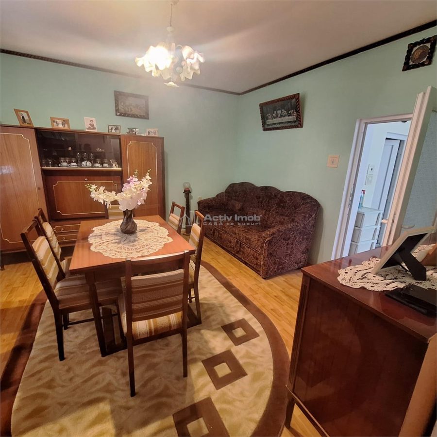 Bocsa Vasiova, Casa cocheta pentru familie, cu Gradina. - foto 20