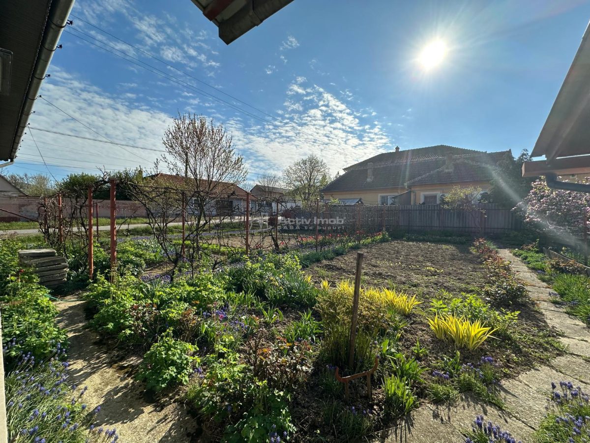 BOCSA Romana, Casa Cocheta cu Gradina - foto 13