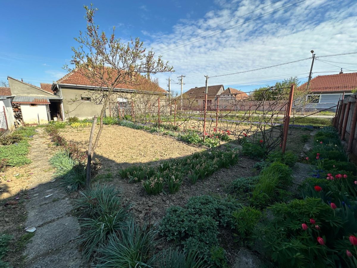 BOCSA Romana, Casa Cocheta cu Gradina - foto 23