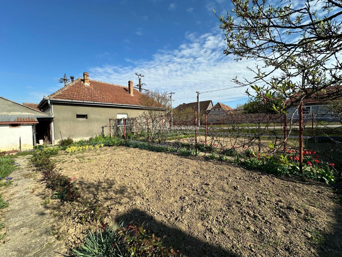 BOCSA Romana, Casa Cocheta cu Gradina - foto 25