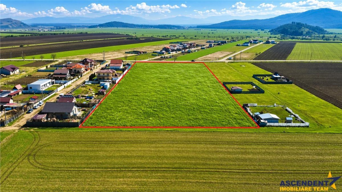 FILM! 700 mp teren intravilan, recomandat constructie casa/ investitie, Cristian, Brasov - foto 2