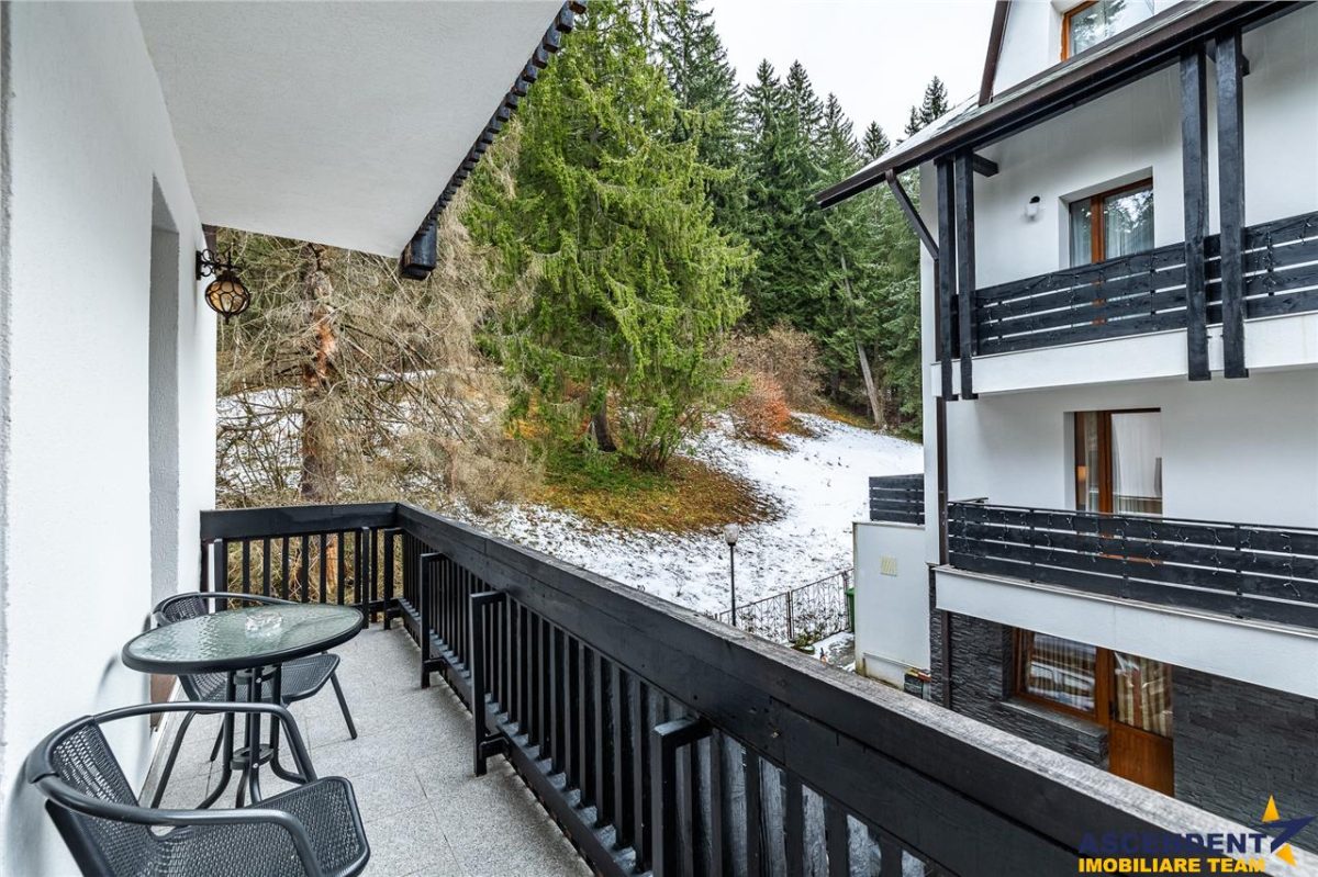 Descopera oportunitatea! Imobiliar&Transfer Business in inima statiunii Poiana Brasov, Romania - foto 18