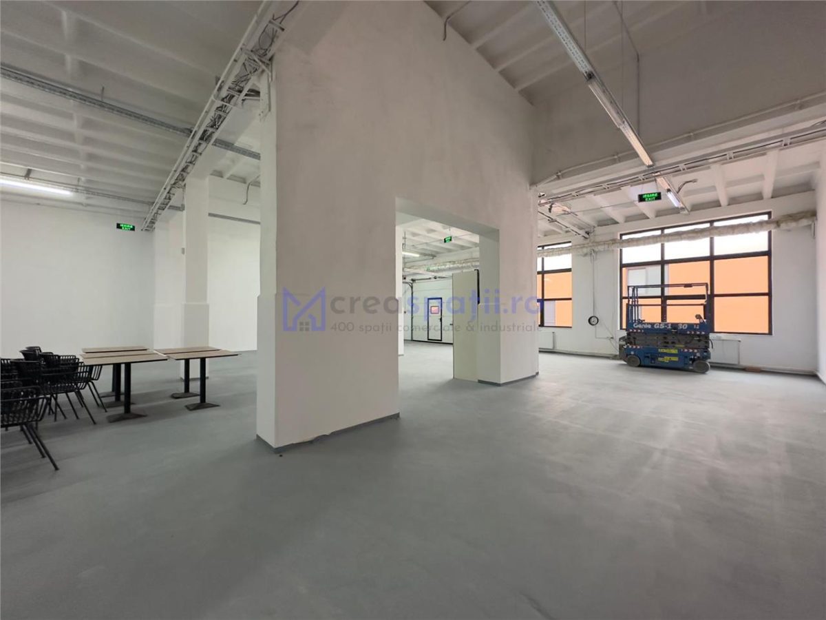 Depozit, productie, showroom, de la 64mp la 193mp, zona Romstal - foto 9