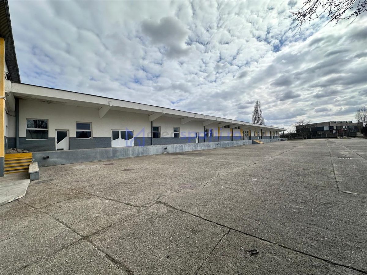 Hale/ spatii de inchiriat in jud. Iasi, Pascani, de la 500mp la 5000mp - foto 2