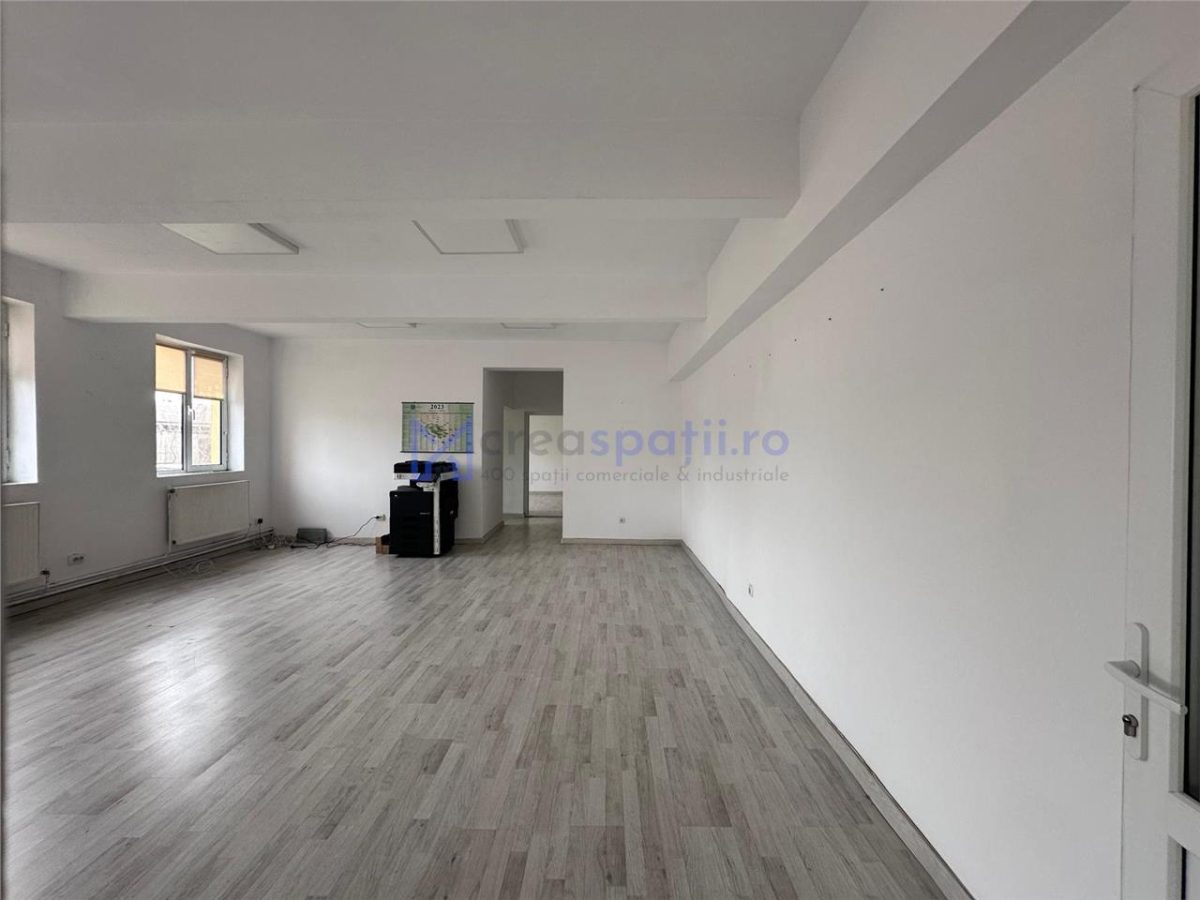 Hale/ spatii de inchiriat in jud. Iasi, Pascani, de la 500mp la 5000mp - foto 13