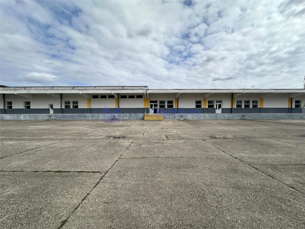 Hale/ spatii de inchiriat in jud. Iasi, Pascani, de la 500mp la 5000mp - foto 3