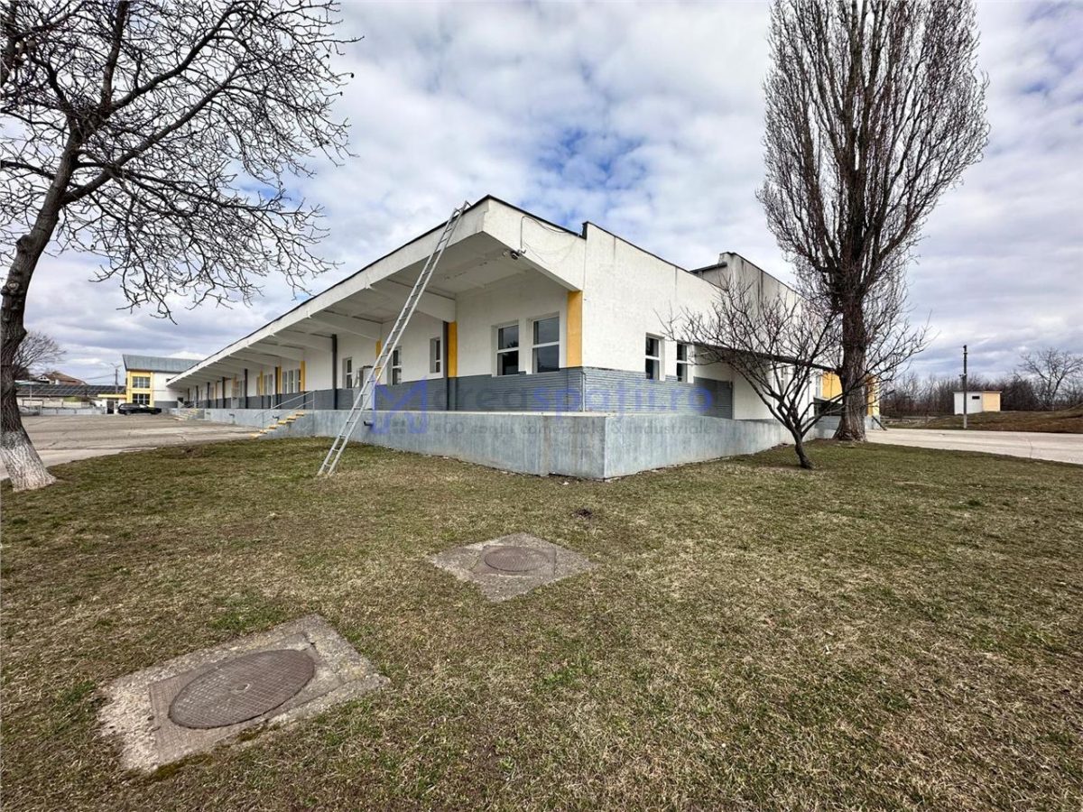 Hale/ spatii de inchiriat in jud. Iasi, Pascani, de la 500mp la 5000mp - foto 25