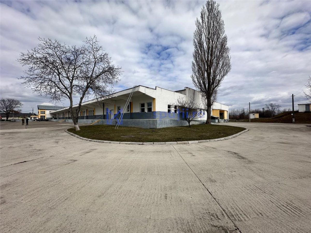 Hale/ spatii de inchiriat in jud. Iasi, Pascani, de la 500mp la 5000mp - foto 5
