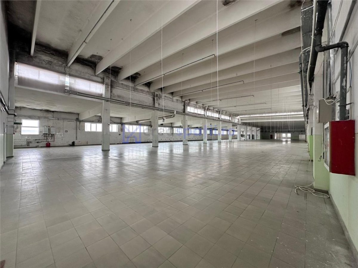 Hale/ spatii de inchiriat in jud. Iasi, Pascani, de la 500mp la 5000mp - foto 6