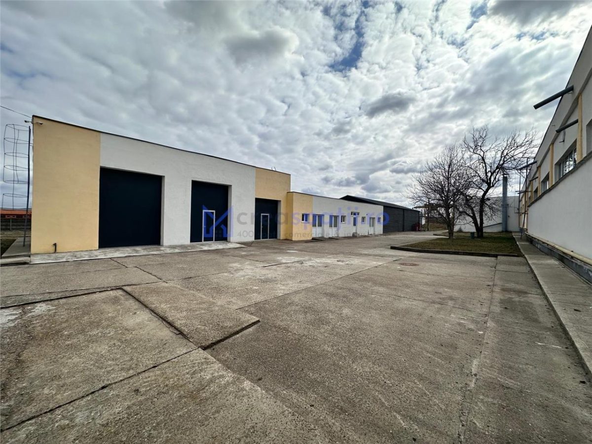 Hale/ spatii de inchiriat in jud. Iasi, Pascani, de la 500mp la 5000mp - foto 7