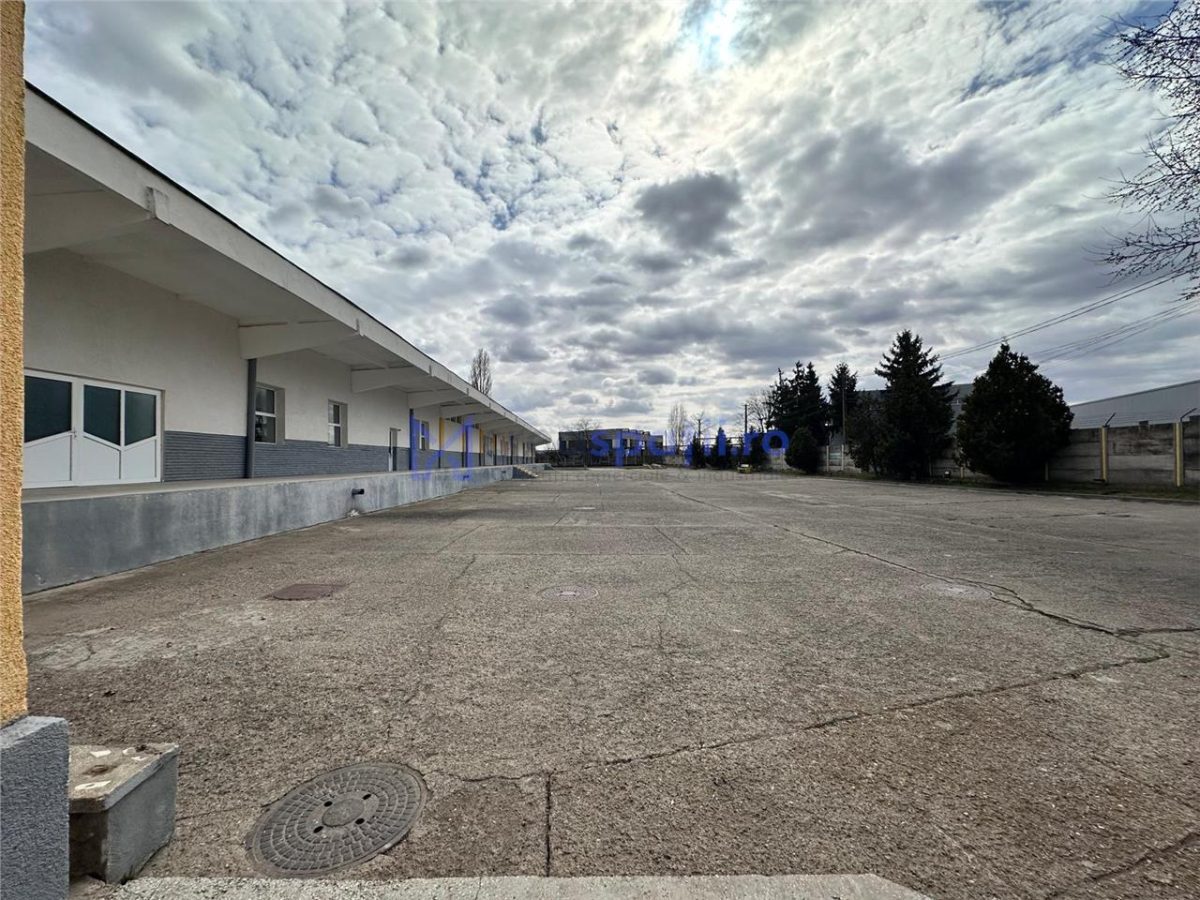 Hale/ spatii de inchiriat in jud. Iasi, Pascani, de la 500mp la 5000mp - foto 8