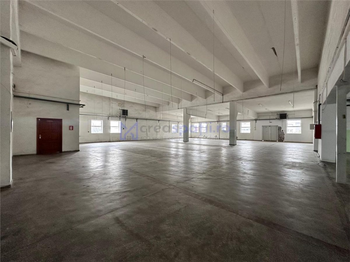 Hale/ spatii de inchiriat in jud. Iasi, Pascani, de la 500mp la 5000mp - foto 9