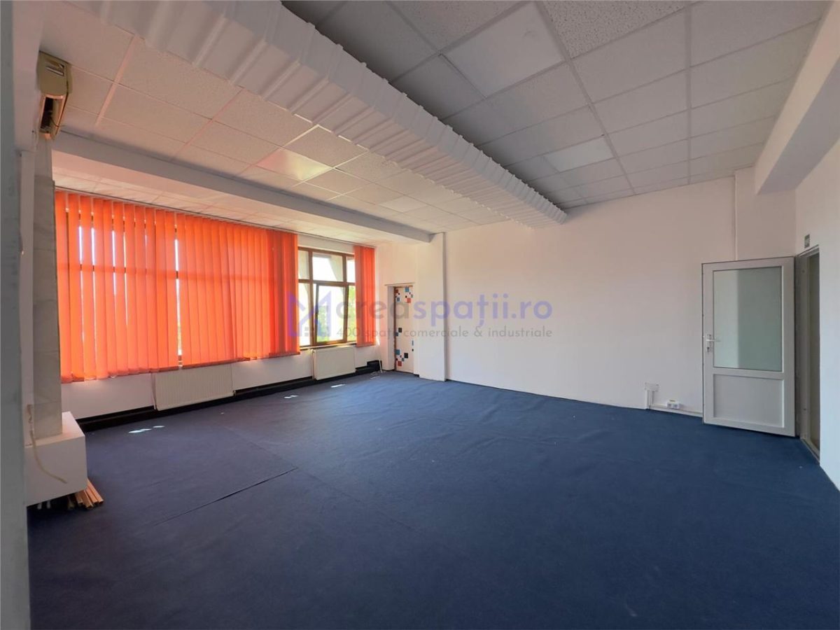 Spatiu birouri; vedere Palat Culturii; 100mp, Casa Cartii - foto 5