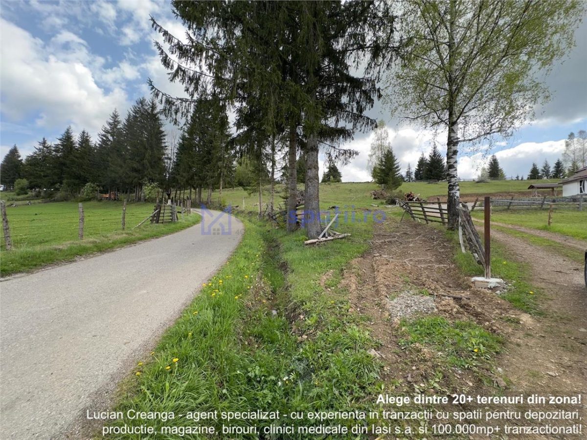 Teren la asfalt si priveliste frumoasa, 1000mp, Neagra Sarului - 